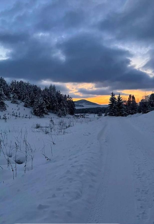 Pine Cabins Zlatibor Luaran gambar